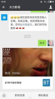 娱乐吃瓜摄影师百度云资源