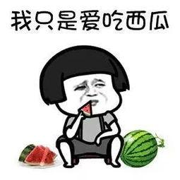 吃瓜来娱乐,娱乐至上的时代盛宴