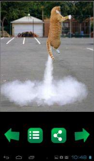 吃瓜娱乐图片搞笑版下载,图片下载,笑出腹肌!